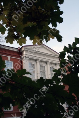 Открытие Радищевского музея