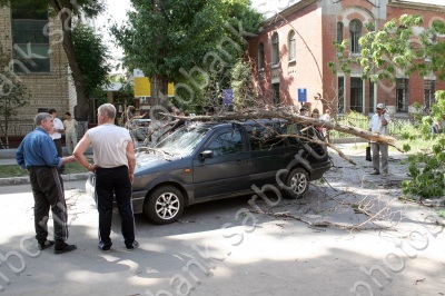 Дерево раздавило три машины