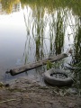 Автомобильная шина, выброшенная в пруд, Заводской район.