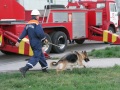 Учения МЧС, пожар в театре. Кинолог с собакой, задействованные для поиска пострадавших.