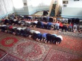Энгельсская мечеть, областной детский просветительно-спортивный лагерь для юных мусульман. Намаз.