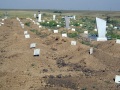 Участок для захоронения неопознанных и бедных. Елшанское кладбище, город Саратов.