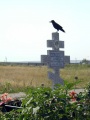 Ворон. Елшанское кладбище, город Саратов.