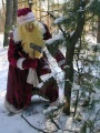 Дед Мороз в лесу.