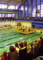 Новогодний спортивный праздник на воде, бассейн "Саратов".
