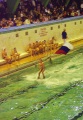 Новогодний спортивный праздник на воде, бассейн "Саратов".
