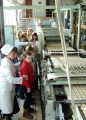 Экскурсия на кондитерскую фабрику, г. Энгельс. Производство печения. 