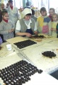 Экскурсия на кондитерскую фабрику, г. Энгельс. Производство конфет. 