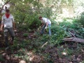 Члены "Молодой Гвардии" произвели уборку на территории усадьбы Чернышевского.