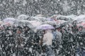 "Снег с дождем". Работа с выставки фотожурналиста Юрия Набатова. 