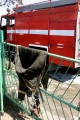 Последствия пожара в частном одноэтажном доме. 5-й Лесопильный проезд, Саратов. 