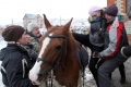 Саратовский центр иппотерапии и конного спорта "Победный аллюр".