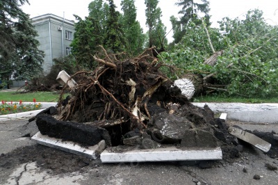 У бассейна "Саратов" ветер повалил деревья