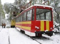 Выпавший снег полностью остановил движение трамваев на маршруте N3.