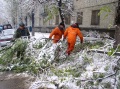 Поисково-спасательный отряд МЧС очищает городские улицы от веток и деревьев. упавших во время снегопада.