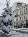 Первый снег, проспект Кирова.