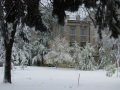 Парк Липки, первый снег, вид на Дом офицеров.