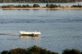 Река Волга, судно на подводных крыльях "Метеор".