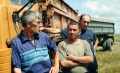 Водители, перевозящие зерно нового урожая. Заволжье, Саратовская область.