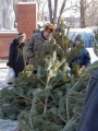 Продажа новогодних елок.