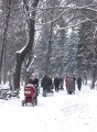Зимний день в Липках.