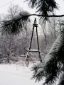 Зимний лес, линия электропередач.