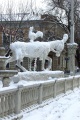 Лошадь, ледяная скульптура.