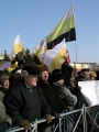 Митинг сторонников "Народного фронта" против монетизации льгот.