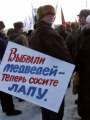 Митинг сторонников "Народного фронта" против монетизации льгот.