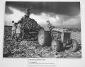 Фотовыставка "Общая Победа" работ английских фотографов времён Второй мировой войны. 