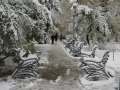 Сад "Липки", первый снег.