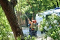 Городская служба спасения убирает падающие деревья. 