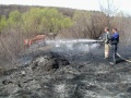 Тушение лесного пожара. На рыбалке. Базарнокарабулакский район, Саратовская область.