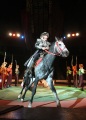 Саратовский цирк представляет конную программу "Тамерлан". 
