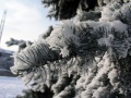 Зима в Саратове.