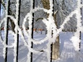 Зима в Саратове.