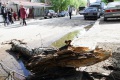 На автомобиль упала часть дерева. Киселева, Саратов.