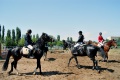 Городские соревнования по конному спорту. Саратовский ипподром.