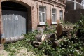 Cпил старых и больных деревьев. Улица Дзержинского, Саратов.