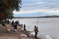 На Волге, в районе поселка Чардым, состоялся фестиваль "Время фидера - осень 2013" по ловле рыбы с берега на донную снасть (фидер).