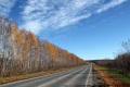 Осень. Саратовская область.