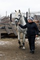 Саратовский центр иппотерапии и конного спорта "Победный аллюр".